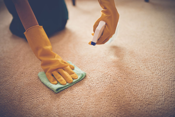 Carpet Clean