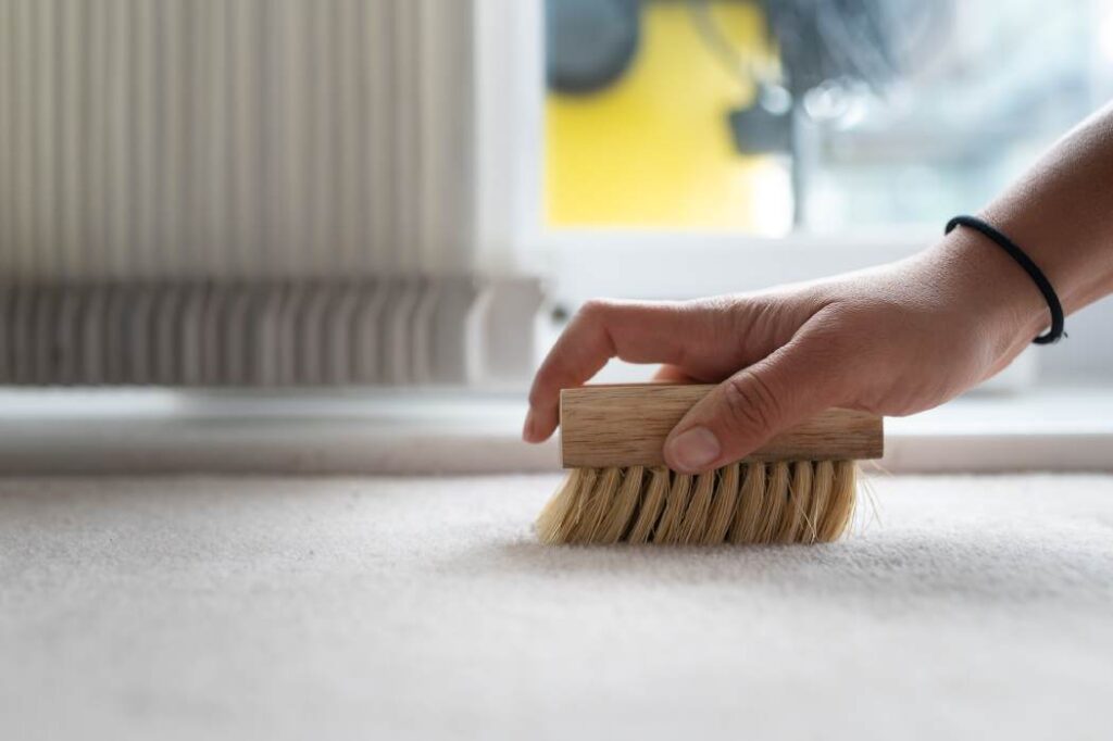 dry carpet cleaning brush
