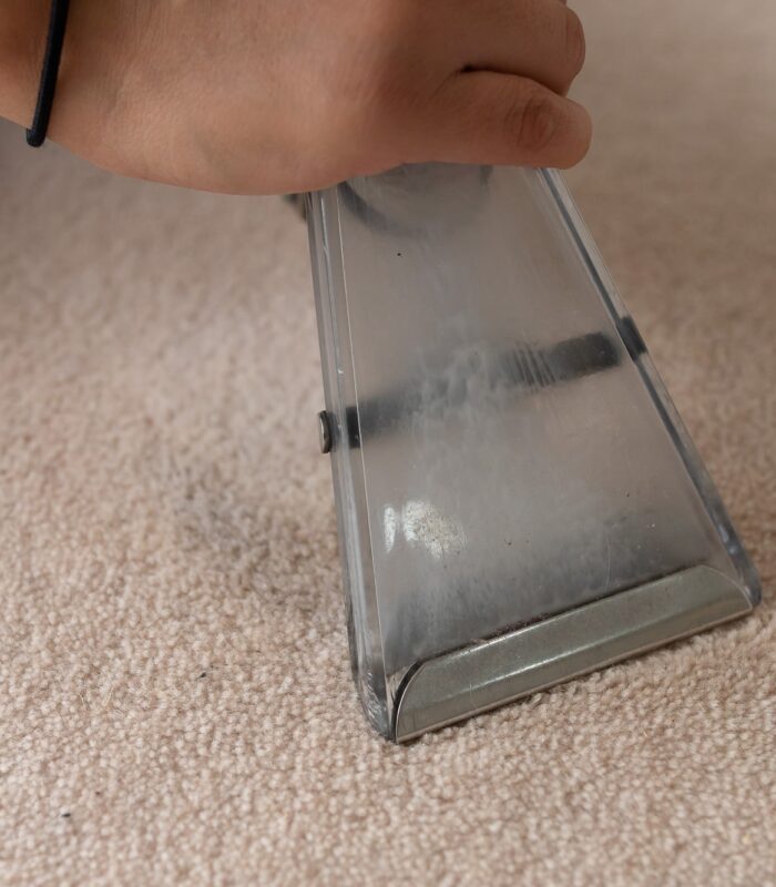 hot water extraction carpet cleaning