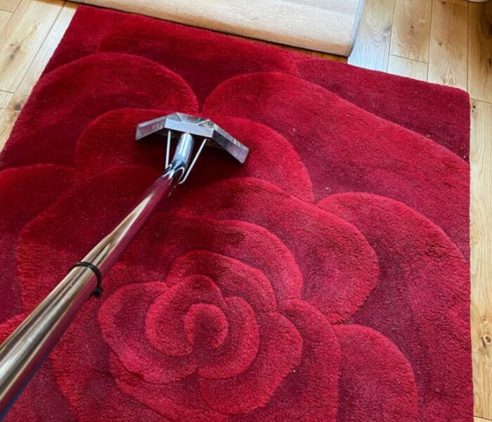 professional carpet cleaning